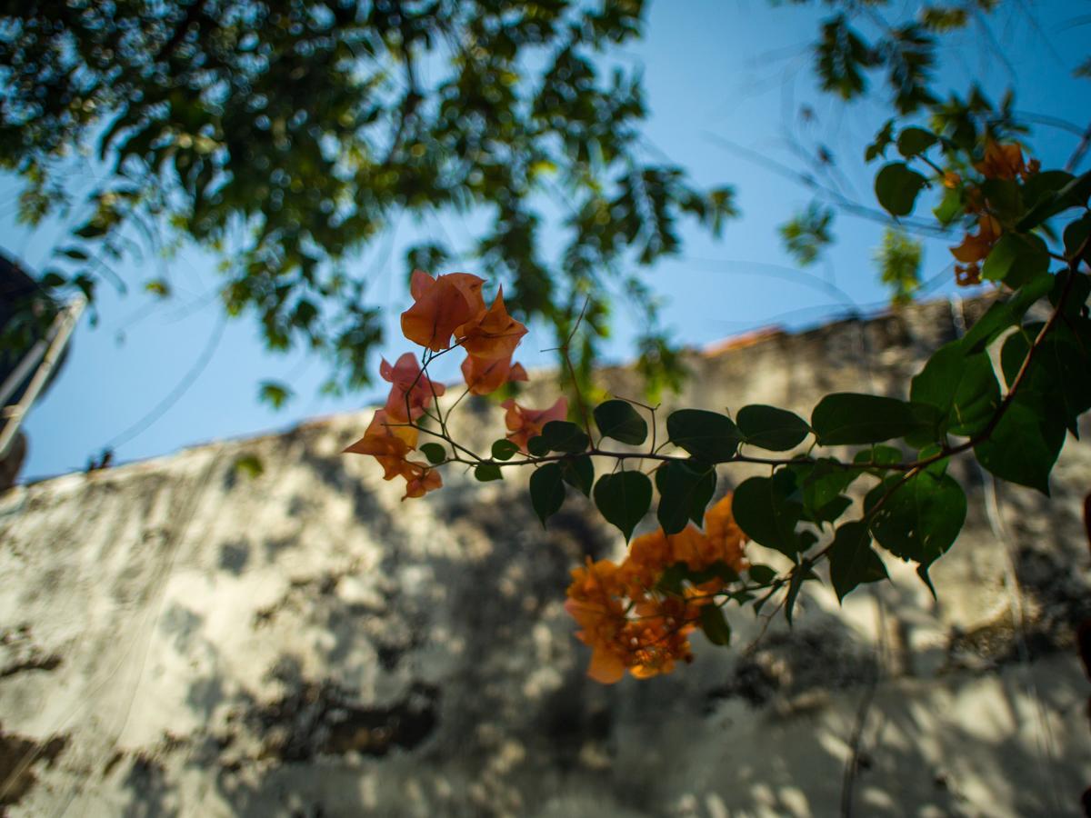 Pueblito Magico Hostel - Mompox Kültér fotó